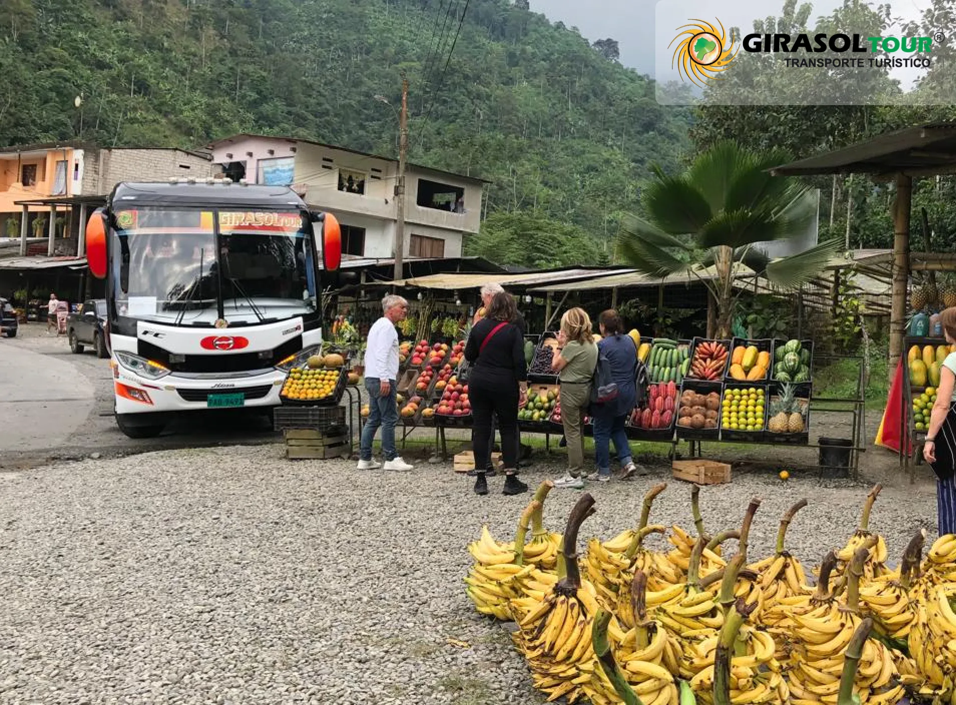 transporte-para-tours-culturales-mercados-artesanales-ecuador_resultado